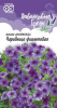 Флокс Чаровница фиолетовая GSH 0,05г (Одн)®